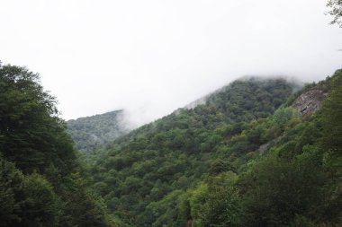 Sabah sisli dağ manzarası