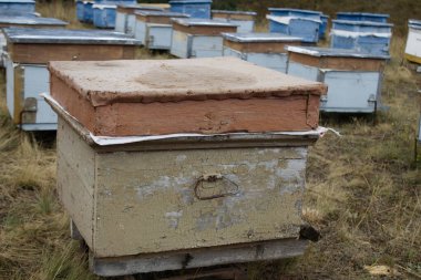 Arka arkaya arı kovanı