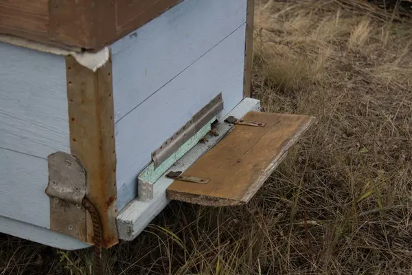 Arka arkaya arı kovanı