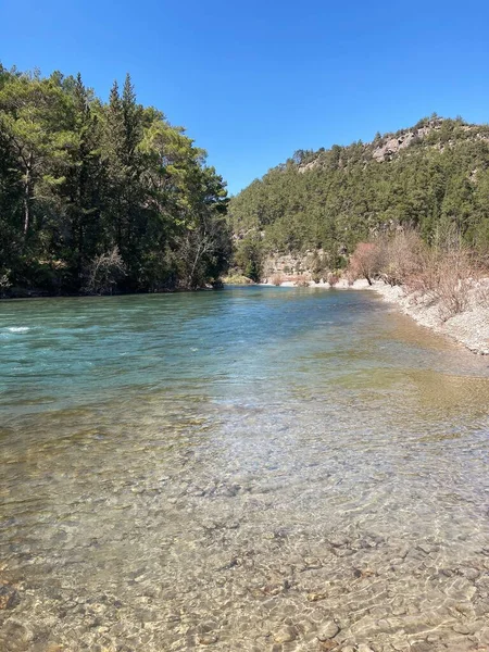 Dağ nehrinin güçlü akıntısı dağlardan kristal berrak ve buzlu geliyor. Yüksek kalite fotoğraf