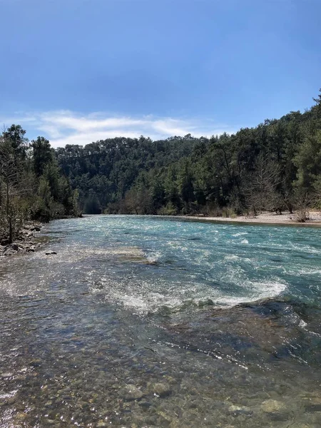 Dağ nehrinin güçlü akıntısı dağlardan kristal berrak ve buzlu geliyor. Yüksek kalite fotoğraf