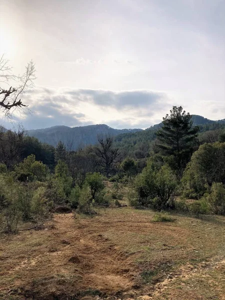 Manavgat, Antalya 'daki Tazi Kanyonu manzarası, Türkiye hava manzarası. Yüksek kalite fotoğraf