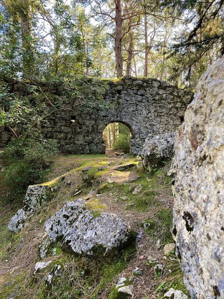 Eski evin duvarları çimen ve yosunla kaplanmış. Yüksek kalite fotoğraf