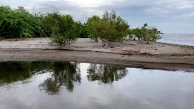 Filipinler Dağlardan akan nehir, plastik ve diğer çöp ekolojileriyle birlikte kirliliğin kıyılarından denize akar. Yüksek kalite 4k görüntü