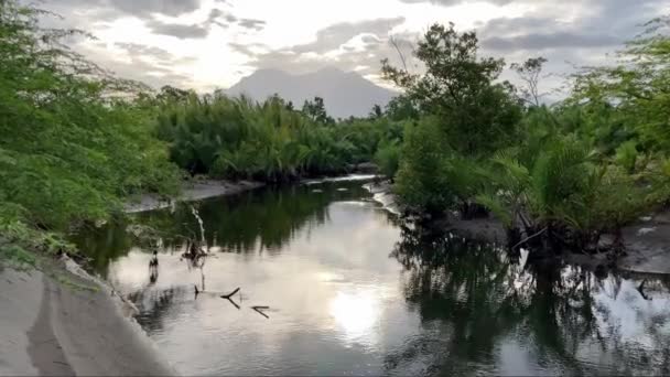 Φιλιππίνες Ποταμός Που Ρέει Κάτω Από Βουνά Ρέει Στη Θάλασσα — Αρχείο Βίντεο