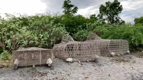 Armadilha Para Lagostas Caranguejo Gaiolas Lagosta Trançadas Bambu Mentira Uma — Vídeo de Stock