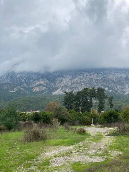 Düşük tüylü bulutlar yüksek dağların üzerinde asılı, tepelerini örtüyor. Yüksek kalite fotoğraf