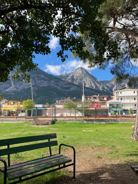 Parktaki bir ağacın altında dağ ve evlerin zeminine karşı bir bank duruyor. Yüksek kalite fotoğraf