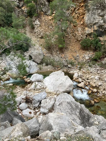 Küçük bir kristal berrak dağ nehri taşların arasında akar ve yolunu bulur. Yüksek kalite fotoğraf