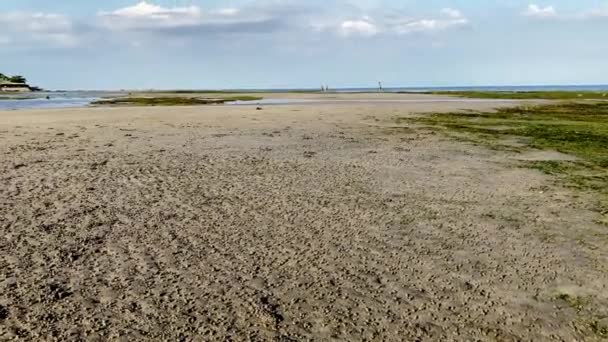 小螃蟹在低潮的时候绕着浅滩跑来跑去 万一有危险 就把自己埋在沙子里 高质量的4K镜头 — 图库视频影像