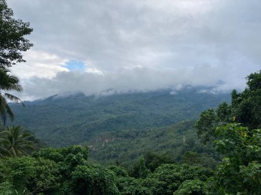 Tropikal dağlar orman alçak palmiye ağaçları ve tropikal bitkilerle kaplıdır. Yüksek kalite fotoğraf