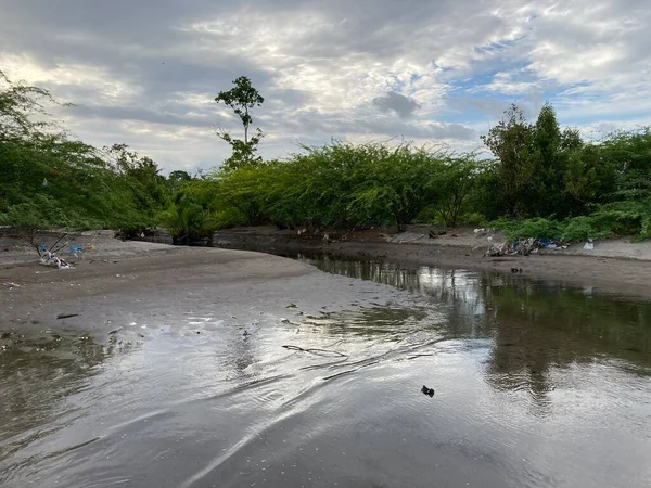 Filipinler Dağlardan akan nehir, plastik ve diğer çöp ekolojileriyle birlikte kirliliğin kıyılarından denize akar. Yüksek kalite fotoğraf