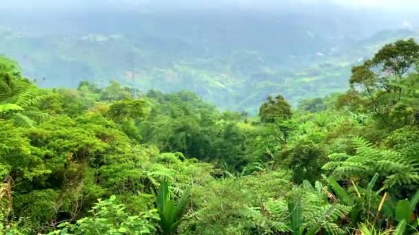 Πυκνά Καταπράσινα Τροπικά Δάση Ψηλά Στα Βουνά Θέα Τον Οικισμό — Αρχείο Βίντεο