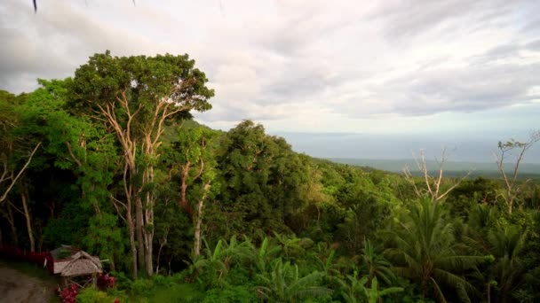 Bosque Lluvioso Verde Denso Selva Nubes Gruesas Alto Las Montañas — Vídeos de Stock