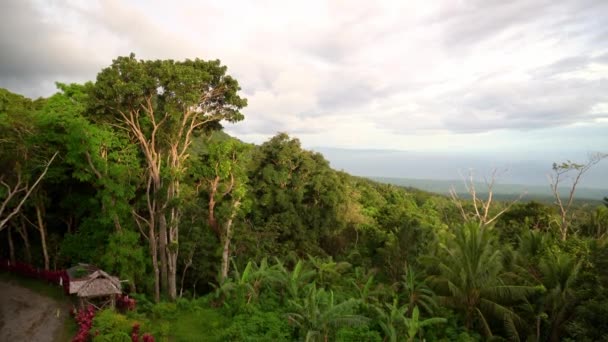 濃い緑の熱帯雨林 ジャングル 厚い雲 島の景色で高い 高品質の4K映像 — ストック動画