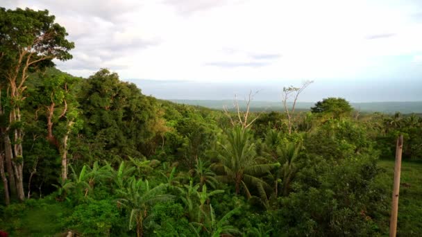 濃い緑の熱帯雨林 ジャングル 厚い雲 島の景色で高い 高品質の4K映像 — ストック動画
