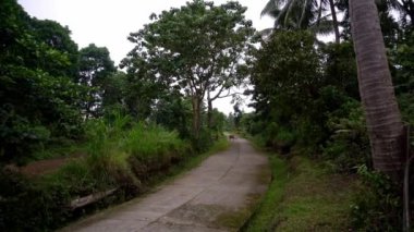 Dağlarda yoğun yeşil yağmur ormanları, yerleşim yeri manzarası, dağların etekleri, ormanı kaplayan sis. Yüksek kalite 4k görüntü