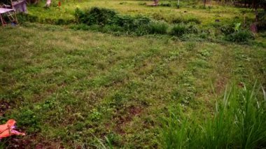 Dağlarda yoğun yeşil yağmur ormanları, yerleşim yeri manzarası, dağların etekleri, ormanı kaplayan sis. Yüksek kalite 4k görüntü