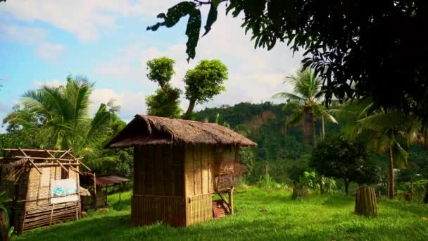 Egy Kis Bambusz Kunyhó Egy Nádtetővel Háttal Esőerdő Zöld Pálmafák — Stock videók