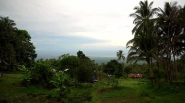 Resimli yoğun yeşil tropikal orman, arka planda mavi deniz ve alçak bulutlar. Yüksek kalite 4k görüntü