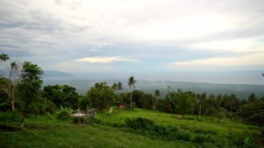 Resimli yoğun yeşil tropikal orman, arka planda mavi deniz ve alçak bulutlar. Yüksek kalite 4k görüntü