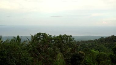 Resimli yoğun yeşil tropikal orman, arka planda mavi deniz ve alçak bulutlar. Yüksek kalite 4k görüntü