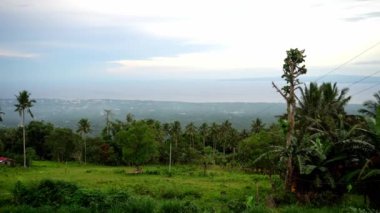 Resimli yoğun yeşil tropikal orman, arka planda mavi deniz ve alçak bulutlar. Yüksek kalite 4k görüntü