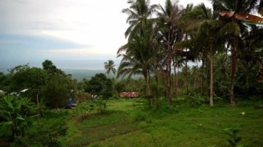Resimli yoğun yeşil tropikal orman, arka planda mavi deniz ve alçak bulutlar. Yüksek kalite 4k görüntü