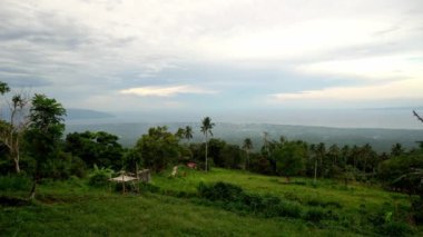Resimli yoğun yeşil tropikal orman, arka planda mavi deniz ve alçak bulutlar. Yüksek kalite 4k görüntü