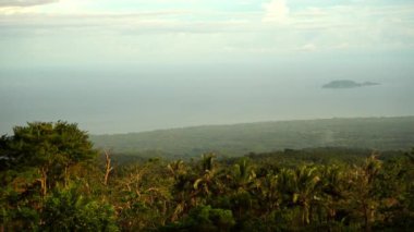 Resimli yoğun yeşil tropikal orman, arka planda mavi deniz ve alçak bulutlar. Yüksek kalite 4k görüntü