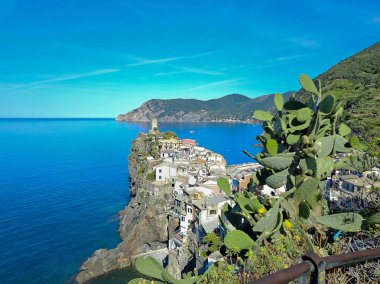 Vernazza 'nın yüksek açılı manzarası, Cinque Terre İtalya. Kopyalama alanı olan yatay fotoğraf.