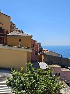 Manarola 'daki evlerin dikey fotoğrafı. Arka planda okyanus ve mavi gökyüzü. Resmin üst kısmında boşluk kopyala. 