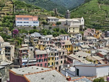 Vernazza 'nın yüksek açılı manzarası, Cinque Terre. Öndeki binalar ve arkadaki sarmaşıklar 