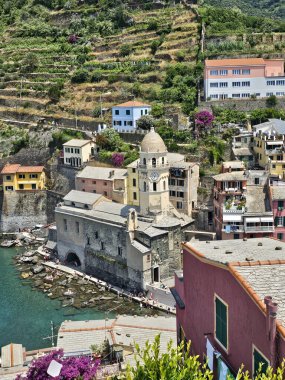 Vernazza 'daki yüksek açılı kilise manzarası, Cinque Terre çevresindeki binalar ve üzüm bağları..