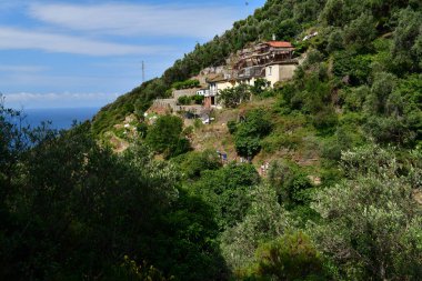 İtalya 'da Monterosso ve Vernazza, Cinque Terre arasında yürüyen turistler.