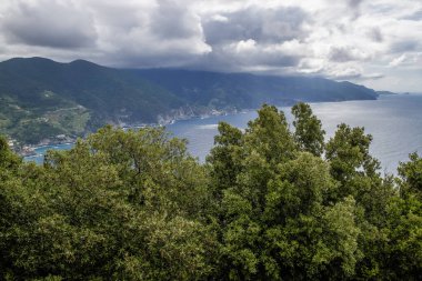 Bulutlu bir günde Cinque Terre Sahili 'nin yüksek açılı manzarası. Ön planda ağaçlar. Arkaplanda dağlar.