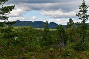 Styggemann dağı Norveç 'in Skrim dağlık bölgesindeki doğal yeşil ormanın arkasında..