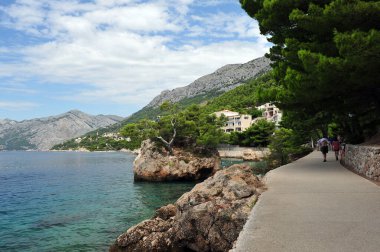Hırvatistan 'ın Brela kentinde sahil boyunca çam ağaçlı kaya yürüyüşü.