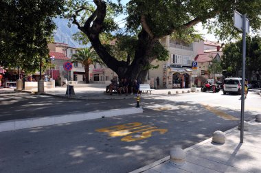 Street view of Baska Voda, Croatia, Men relaxing in the shade of huge tree.  clipart