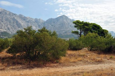Brela 'daki yürüyüş yolundan dağ manzarası. Dalmaçya 'nın güzel manzarası.