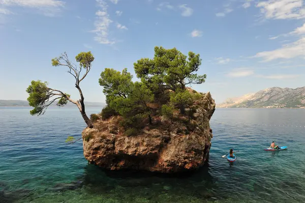 Stock image The tiny island, symbol of Brela. Couple on paddle boards in the water.