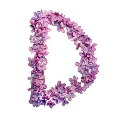 D harfi leylak çiçeklerinden yapılmış. Beyaz arkaplan ile kare fotoğraf.