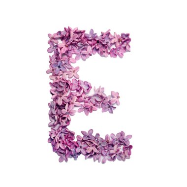 E harfi leylak çiçeklerinden yapılmıştır. Beyaz arkaplan ile kare fotoğraf.