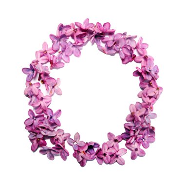 Leylak çiçeklerinden yapılmış O harfi. Beyaz arkaplan ile kare fotoğraf.