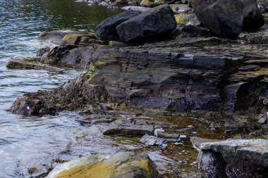 Midyeli kayalardan oluşan engebeli bir plaj detayı. Katmanlar halinde kayrak taşı.
