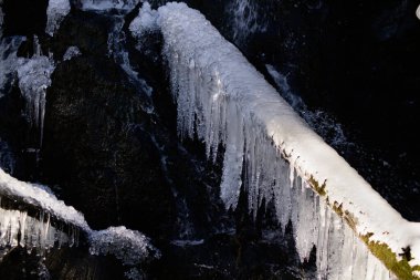Yatay fotografı koyu arkaplan üzerine buz dalının fotokopi alanı ile kapat.