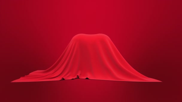 Motion Graphics Features Piece Cloth Slides Heart — Video Stock