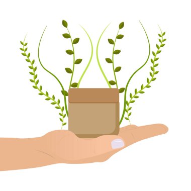 Yeşil Yapraklı Kozmetik Kavanozu, Eko Kozmetik Konsepti. Vektör İllüstrasyonu