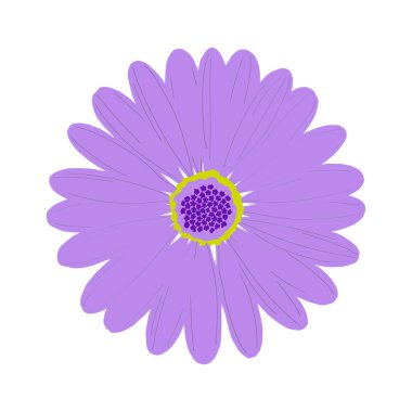 Beyaz arka planda izole edilmiş mor çiçek. Vektör İllüstrasyonu