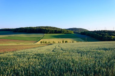Barışçıl Taubertal: Werbach, Almanya 'da yeşil alanlar ve mavi gökyüzünün panoramik bir görüntüsü